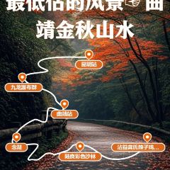 Zhan yi gong shi la zi Chicken (zhan yi) User Photo