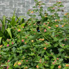 舌间·灵运仙洞餐厅 User Photo