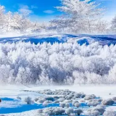 Anda barbecue User Photo