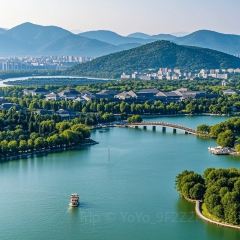 三中高皇羊肉館張用戶圖片