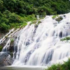 鸽皇餐厅·16年老字号·专业做鸽(东城店) User Photo