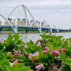 中街吊炉饼鸡蛋糕小吃部 User Photo