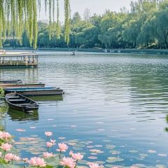 张记逍遥胡辣汤(大坑沿街店) User Photo