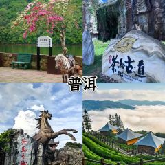 Wooden Paradise Restaurant&Bar User Photo