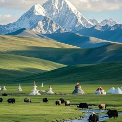 JUN WANG FU User Photo