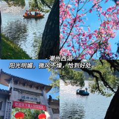 ZHENQIANJIE FERMENTED BEAN CURD CHICKEN WINGS User Photo