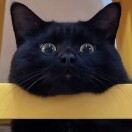 Kaitetuntun 唯庭世紀酒店（上海火車站南廣場店）優惠