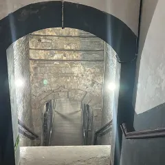 ZHENG XI WANG User Photo