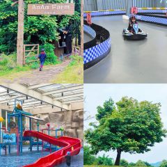 简阳三岔湖长岛天堂洲际酒店·龙轩中餐厅 User Photo