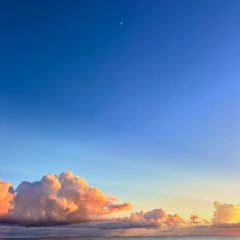 Rakuennokajitsu張用戶圖片