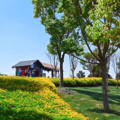 太平湖森林木屋酒店-湖景餐厅 User Photo