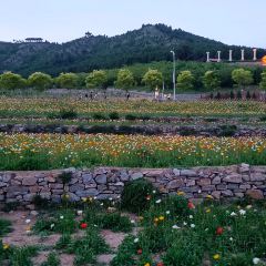 全福农庄 User Photo