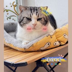 MioCat&Dessert猫咖 User Photo