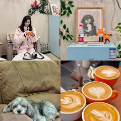 二民铁锅炖 User Photo