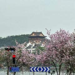 廣雅茶樓（柳州一店）張用戶圖片