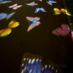 Donghuadouhua User Photo