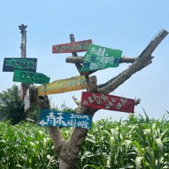 青禾文创田院 User Photo