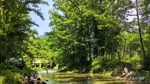 Chongzhou Beixi Wetland