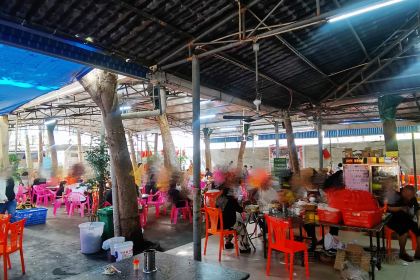 高隆湾中西茶园