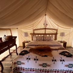 香格里拉云阶·格兰平帐篷营地·咖啡Glamping·cafe User Photo