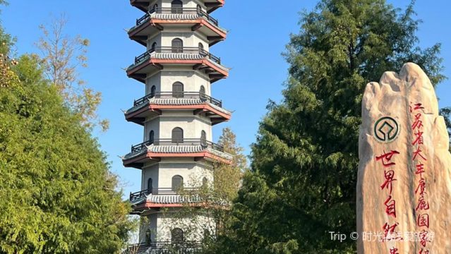 Jiangsu Dafeng Milu National Nature Reserve