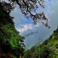 丙中洛云野·见江·餐厅 User Photo