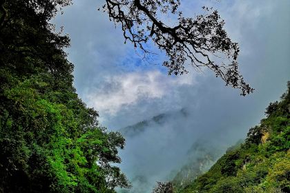 丙中洛雲野·見江·餐廳