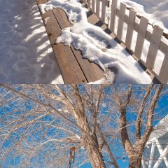 六月瓣咖啡 User Photo