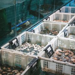 石中鲜·天然石锅蒸汽河鲜 User Photo