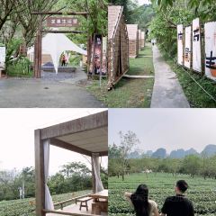 T三峰林茶谷野奢帐篷营地·T三茶宴 User Photo
