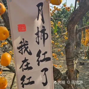 中國柿子博覽園