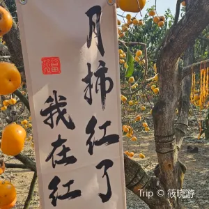 中國柿子博覽園