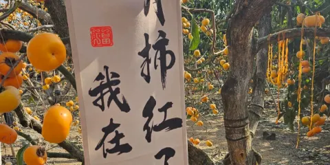 中國柿子博覽園