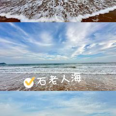 TSINGTAO1903青岛啤酒吧(青岛旗舰店) User Photo