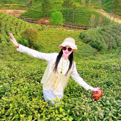 WEN XIN CHA ZHUANG YUAN User Photo