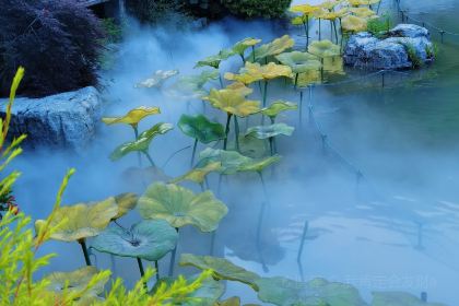 葛仙村度假区枕山宿酒店·枕山小馆