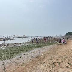 邴家湾海鲜饭店 User Photo