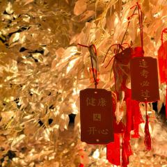 3Q台灣美食張用戶圖片