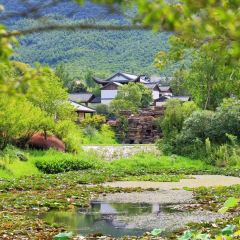 長興景瀾富硒山居酒店·知竹餐廳張用戶圖片
