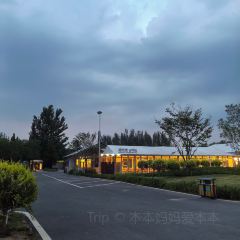 文安郝力克希尔顿启缤精选酒店·餐厅 User Photo