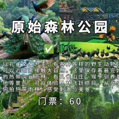 mamalao老撾烤肉糯米飯張用戶圖片