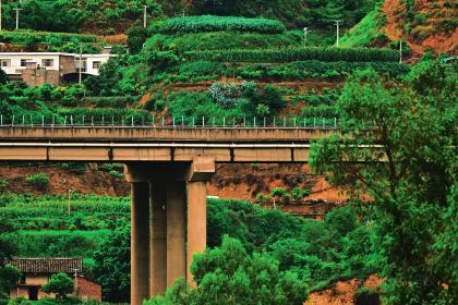 芋見張宜花園（鹽邊預告店）