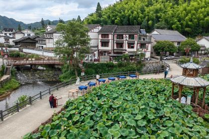 花筑·景宁雲中自在居(云中大漈店)·农家特色饭店