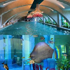 抚仙湖宝麗湾酒店及度假村·映澜全日餐厅 User Photo