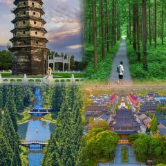 大顺土菜馆 User Photo