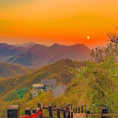 YU YAN LOU User Photo