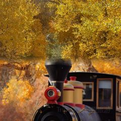 海爾巴格大飯店（喀什店）張用戶圖片