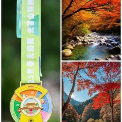 南江黄羊汤锅城 User Photo