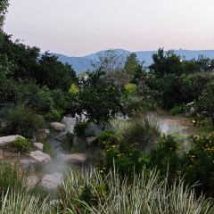 枇杷熟了coffee User Photo