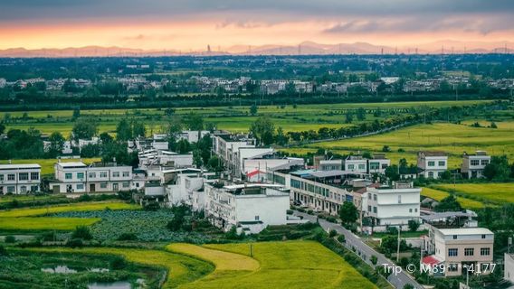 Hubei Tianmen Zhangjia Lake National Wetland Park